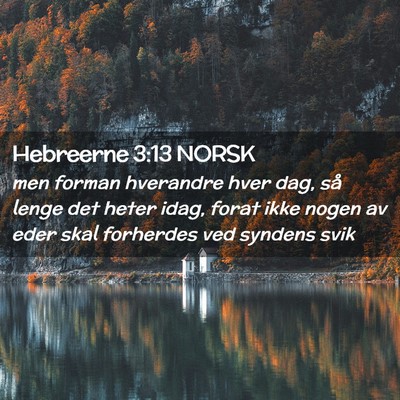 Picture 02 - Hebreerne 3:13 NORSK - men forman hverandre hver dag, så lenge det - Bible Verse Picture