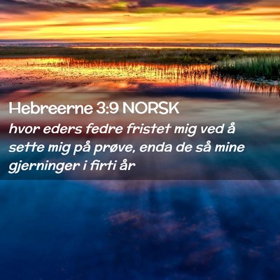 Picture 02 - Hebreerne 3:9 NORSK - hvor eders fedre fristet mig ved å sette mig på - Bible Verse Picture