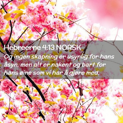 Picture 02 - Hebreerne 4:13 NORSK - Og ingen skapning er usynlig for hans åsyn, men - Bible Verse Picture