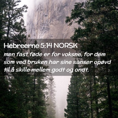 Picture 02 - Hebreerne 5:14 NORSK - men fast føde er for voksne, for dem som ved - Bible Verse Picture