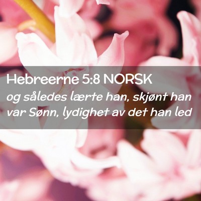 Picture 02 - Hebreerne 5:8 NORSK - og således lærte han, skjønt han var Sønn, - Bible Verse Picture