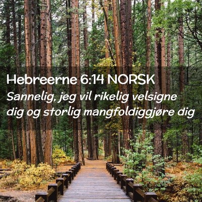 Picture 02 - Hebreerne 6:14 NORSK - Sannelig, jeg vil rikelig velsigne dig og storlig - Bible Verse Picture