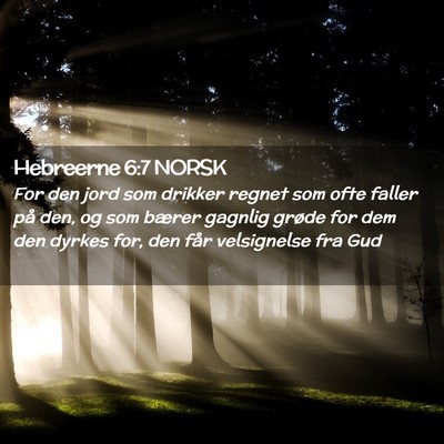 Picture 02 - Hebreerne 6:7 NORSK - For den jord som drikker regnet som ofte faller - Bible Verse Picture