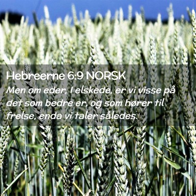 Picture 02 - Hebreerne 6:9 NORSK - Men om eder, I elskede, er vi visse på det som - Bible Verse Picture