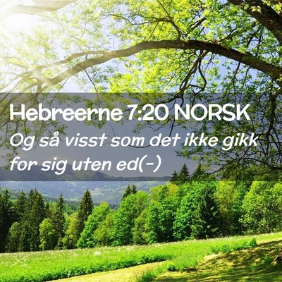 Picture 02 - Hebreerne 7:20 NORSK - Og så visst som det ikke gikk for sig uten - Bible Verse Picture