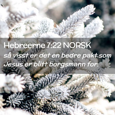 Picture 02 - Hebreerne 7:22 NORSK - så visst er det en bedre pakt som Jesus er blitt - Bible Verse Picture