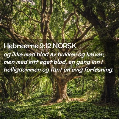 Picture 02 - Hebreerne 9:12 NORSK - og ikke med blod av bukker og kalver, men med - Bible Verse Picture