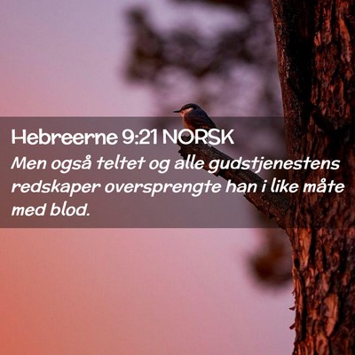 Picture 02 - Hebreerne 9:21 NORSK - Men også teltet og alle gudstjenestens redskaper - Bible Verse Picture