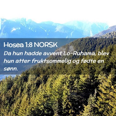 Picture 02 - Hosea 1:8 NORSK - Da hun hadde avvent Lo-Ruhama, blev hun atter - Bible Verse Picture