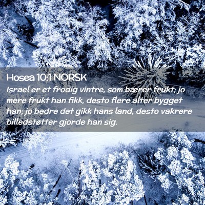 Picture 02 - Hosea 10:1 NORSK - Israel er et frodig vintre, som bærer frukt; jo - Bible Verse Picture