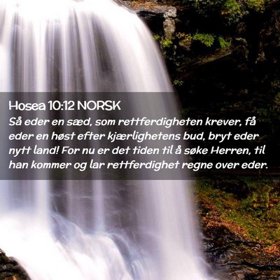 Picture 02 - Hosea 10:12 NORSK - Så eder en sæd, som rettferdigheten krever, få - Bible Verse Picture