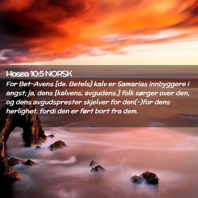 Picture 02 - Hosea 10:5 NORSK - For Bet-Avens {de. Betels} kalv er Samarias - Bible Verse Picture