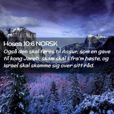 Picture 02 - Hosea 10:6 NORSK - Også den skal føres til Assur, som en gave til - Bible Verse Picture