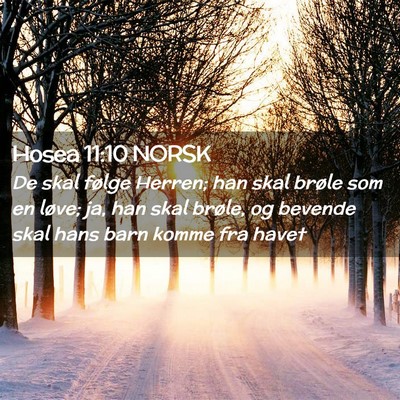 Picture 02 - Hosea 11:10 NORSK - De skal følge Herren; han skal brøle som en - Bible Verse Picture
