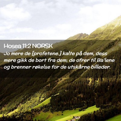 Picture 02 - Hosea 11:2 NORSK - Jo mere de {profetene.} kalte på dem, dess mere - Bible Verse Picture