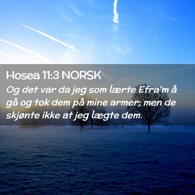 Picture 02 - Hosea 11:3 NORSK - Og det var da jeg som lærte Efra'm å gå og tok - Bible Verse Picture