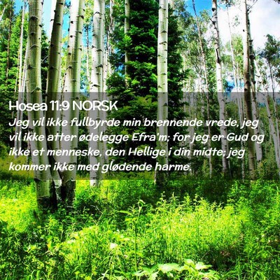 Picture 02 - Hosea 11:9 NORSK - Jeg vil ikke fullbyrde min brennende vrede, jeg - Bible Verse Picture