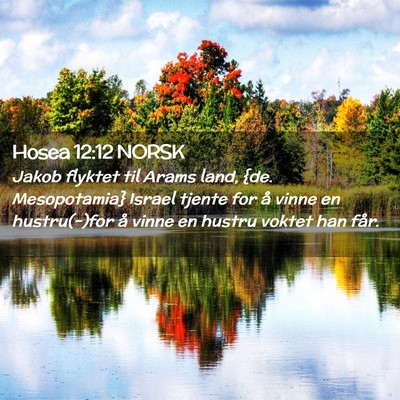 Picture 02 - Hosea 12:12 NORSK - Jakob flyktet til Arams land, {de. Mesopotamia} - Bible Verse Picture