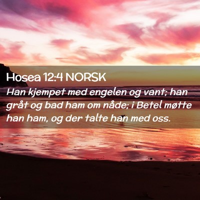 Picture 02 - Hosea 12:4 NORSK - Han kjempet med engelen og vant; han gråt og bad - Bible Verse Picture