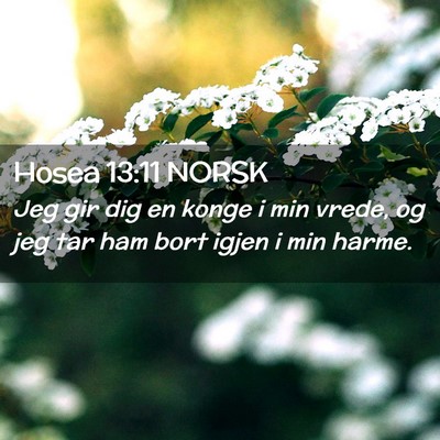 Picture 02 - Hosea 13:11 NORSK - Jeg gir dig en konge i min vrede, og jeg tar ham - Bible Verse Picture