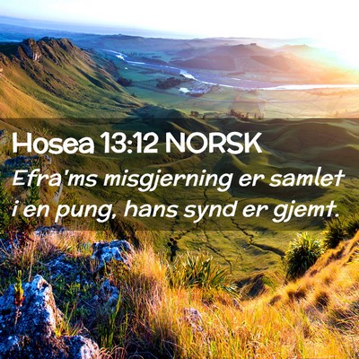 Picture 02 - Hosea 13:12 NORSK - Efra'ms misgjerning er samlet i en pung, hans - Bible Verse Picture