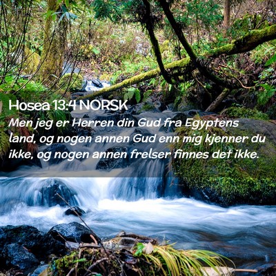 Picture 02 - Hosea 13:4 NORSK - Men jeg er Herren din Gud fra Egyptens land, og - Bible Verse Picture