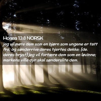 Picture 02 - Hosea 13:8 NORSK - jeg vil møte dem som en bjørn som ungene er - Bible Verse Picture