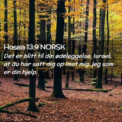 Picture 02 - Hosea 13:9 NORSK - Det er blitt til din ødeleggelse, Israel, at du - Bible Verse Picture