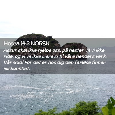 Picture 02 - Hosea 14:3 NORSK - Assur skal ikke hjelpe oss, på hester vil vi - Bible Verse Picture