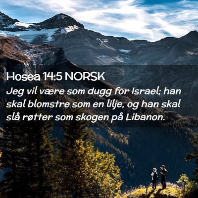 Picture 02 - Hosea 14:5 NORSK - Jeg vil være som dugg for Israel; han skal - Bible Verse Picture