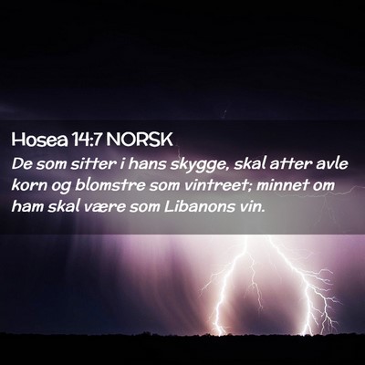 Picture 02 - Hosea 14:7 NORSK - De som sitter i hans skygge, skal atter avle korn - Bible Verse Picture