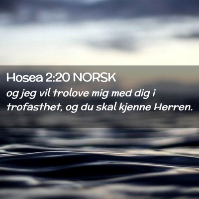 Picture 02 - Hosea 2:20 NORSK - og jeg vil trolove mig med dig i trofasthet, og - Bible Verse Picture