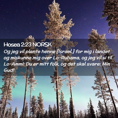 Picture 02 - Hosea 2:23 NORSK - Og jeg vil plante henne {Israel.} for mig i - Bible Verse Picture