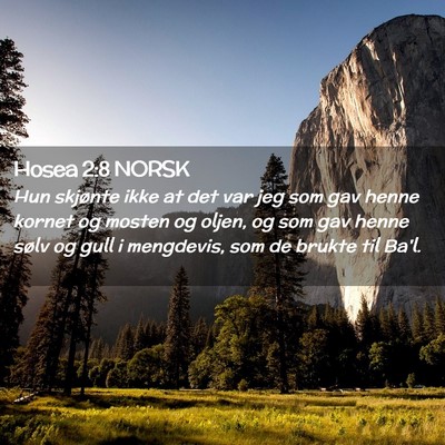 Picture 02 - Hosea 2:8 NORSK - Hun skjønte ikke at det var jeg som gav henne - Bible Verse Picture
