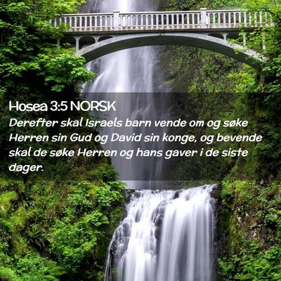 Picture 02 - Hosea 3:5 NORSK - Derefter skal Israels barn vende om og søke - Bible Verse Picture