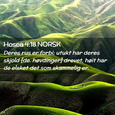 Picture 02 - Hosea 4:18 NORSK - Deres rus er forbi; utukt har deres skjold {de. - Bible Verse Picture