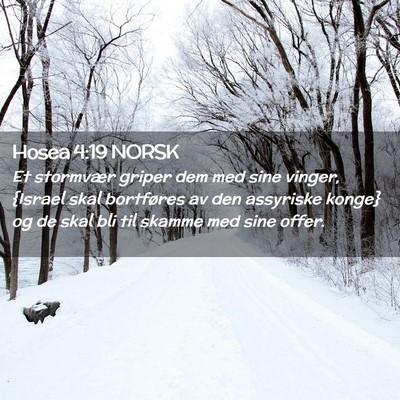 Picture 02 - Hosea 4:19 NORSK - Et stormvær griper dem med sine vinger, {Israel - Bible Verse Picture