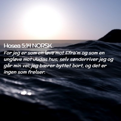 Picture 02 - Hosea 5:14 NORSK - For jeg er som en løve mot Efra'm og som en - Bible Verse Picture