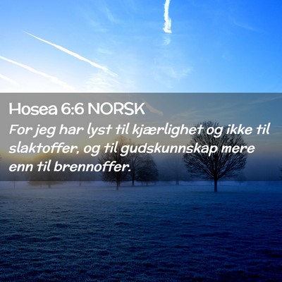 Picture 02 - Hosea 6:6 NORSK - For jeg har lyst til kjærlighet og ikke til - Bible Verse Picture