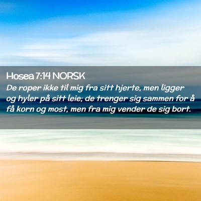Picture 02 - Hosea 7:14 NORSK - De roper ikke til mig fra sitt hjerte, men ligger - Bible Verse Picture