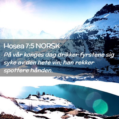 Picture 02 - Hosea 7:5 NORSK - På vår konges dag drikker fyrstene sig syke av - Bible Verse Picture