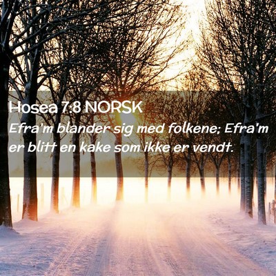 Picture 02 - Hosea 7:8 NORSK - Efra'm blander sig med folkene; Efra'm er blitt - Bible Verse Picture