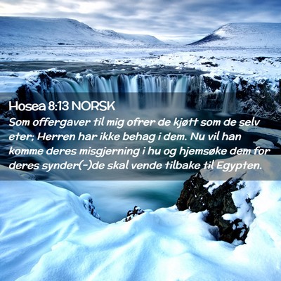 Picture 02 - Hosea 8:13 NORSK - Som offergaver til mig ofrer de kjøtt som de - Bible Verse Picture