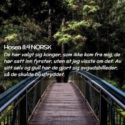 Picture 02 - Hosea 8:4 NORSK - De har valgt sig konger, som ikke kom fra mig, de - Bible Verse Picture