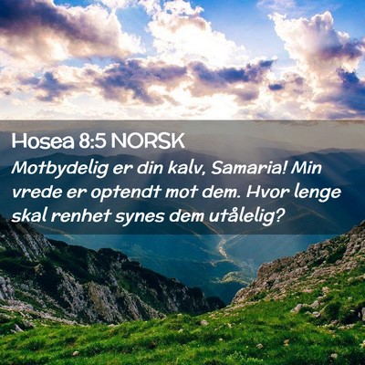 Picture 02 - Hosea 8:5 NORSK - Motbydelig er din kalv, Samaria! Min vrede er - Bible Verse Picture