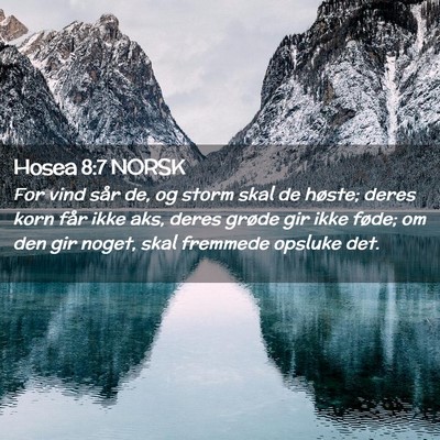 Picture 02 - Hosea 8:7 NORSK - For vind sår de, og storm skal de høste; deres - Bible Verse Picture