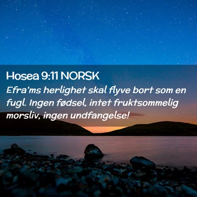 Picture 02 - Hosea 9:11 NORSK - Efra'ms herlighet skal flyve bort som en fugl. - Bible Verse Picture