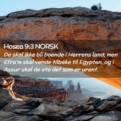 Picture 02 - Hosea 9:3 NORSK - De skal ikke bli boende i Herrens land; men - Bible Verse Picture