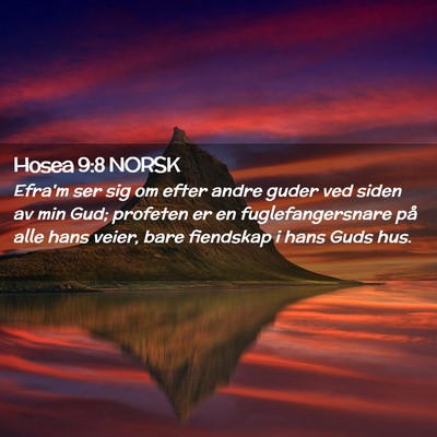 Picture 02 - Hosea 9:8 NORSK - Efra'm ser sig om efter andre guder ved siden av - Bible Verse Picture