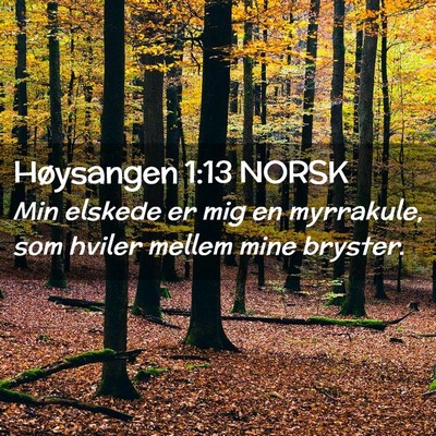 Picture 02 - Høysangen 1:13 NORSK - Min elskede er mig en myrrakule, som hviler - Bible Verse Picture